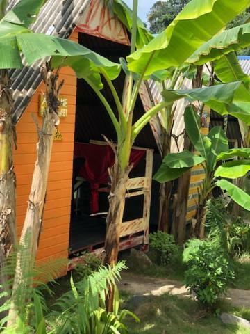 Beach Shack Chalet - Garden View Aframe Small Unit Kampong Juara Εξωτερικό φωτογραφία